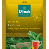 Dilmah Fun Flavoured Tea (100 Individual Tea Bags Foil Pouch)