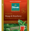 Dilmah Fun Flavoured Tea (100 Individual Tea Bags Foil Pouch)