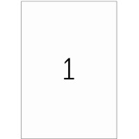 Herma Transparent Weatherproof Permanent Adhesion Matt Labels 25'S (210 x 297mm)