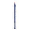 Pentel Neo-Sable Nylon Brush - 6