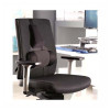 Fellowes Professional Series Ultimate Back Support