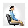 Fellowes Professional Series Ultimate Back Support