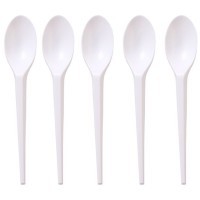 Plastic Spoon 50'S