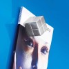 Sigel SuperDym Glass Board Magnet (2 x 2 x 2cm) Super-Strong