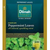 Dilmah Infusion Tea (100 Individual Tea Bags Foil Pouch)