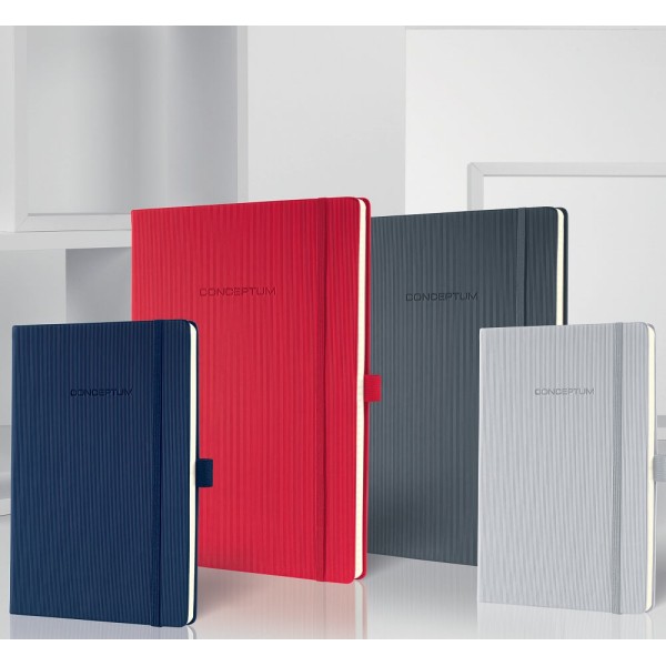 Professional Notebooks